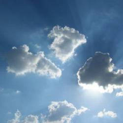 Palehorse (USA) : Soft As Butter, Hard As Ice Palehorse (USA) : Soft As Butter, Hard As Ice